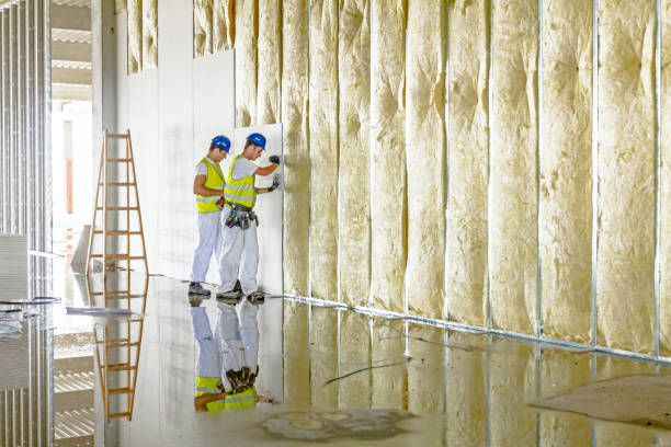 Best Blown-in Insulation in New Castle, CO